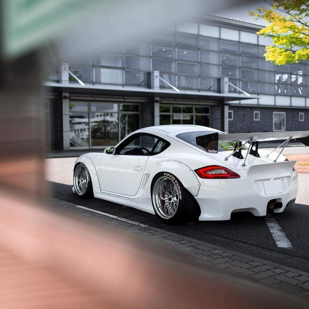 PandeM suitable for Porsche Cayman 987.1 V2