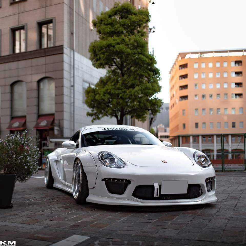 PandeM suitable for Porsche Cayman 987.1 V2