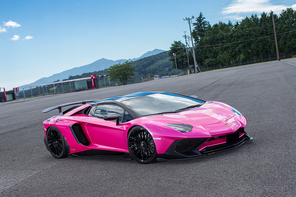 Liberty Walk suitable for Lamborghini Aventador SV